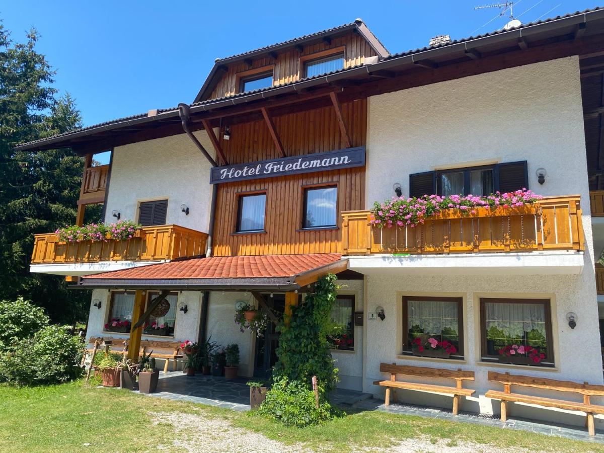 Hotel Friedemann Rasùn di Sotto المظهر الخارجي الصورة